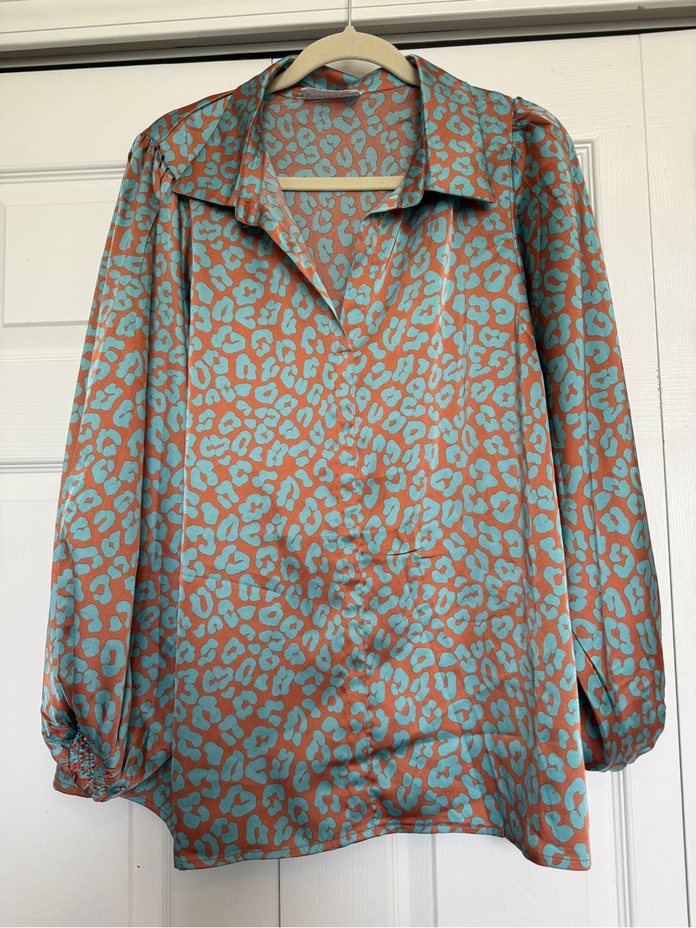 Women's Turquoise and Rust Animal Print Button-Down Blouse